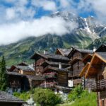 immo suisse